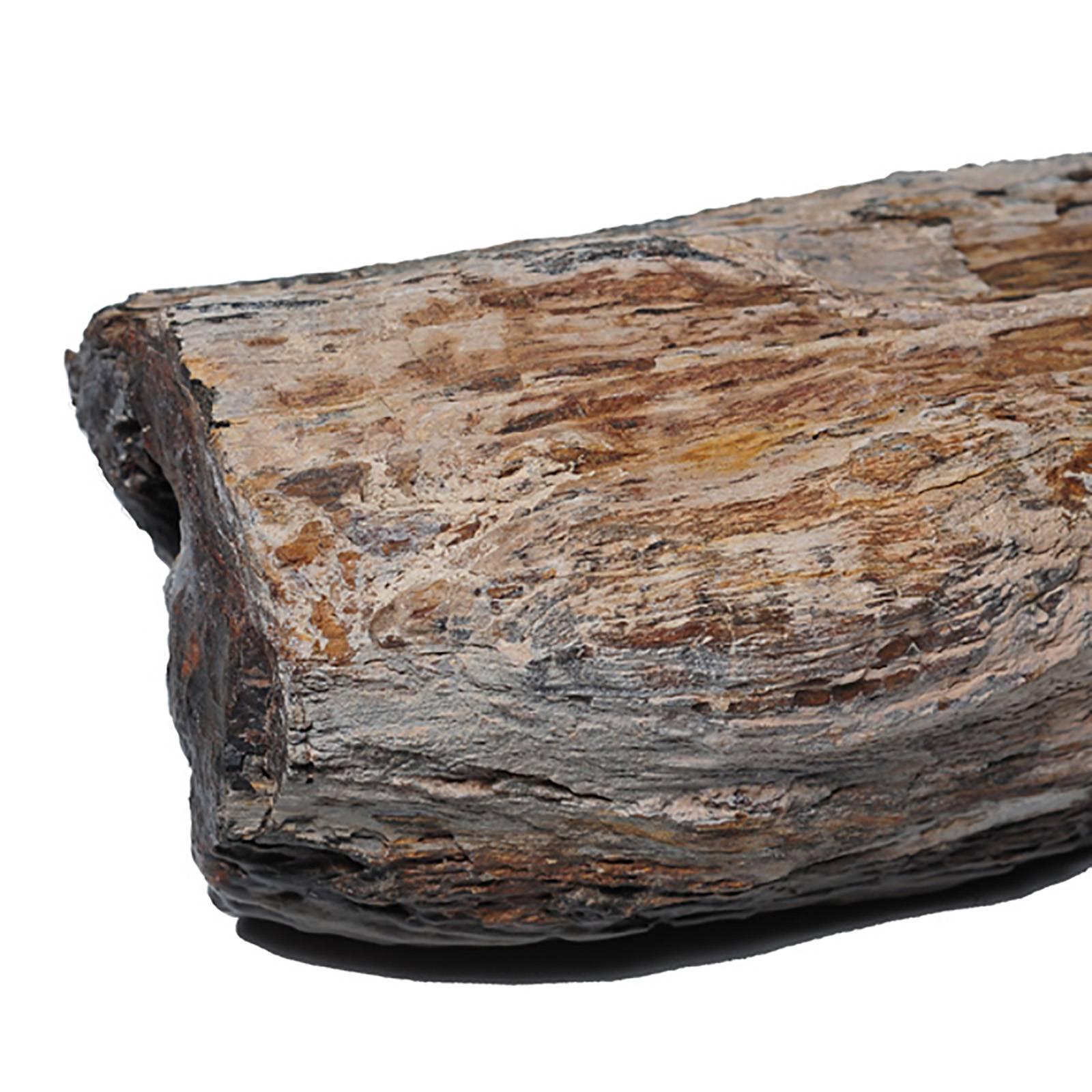 petrified wood in chinese