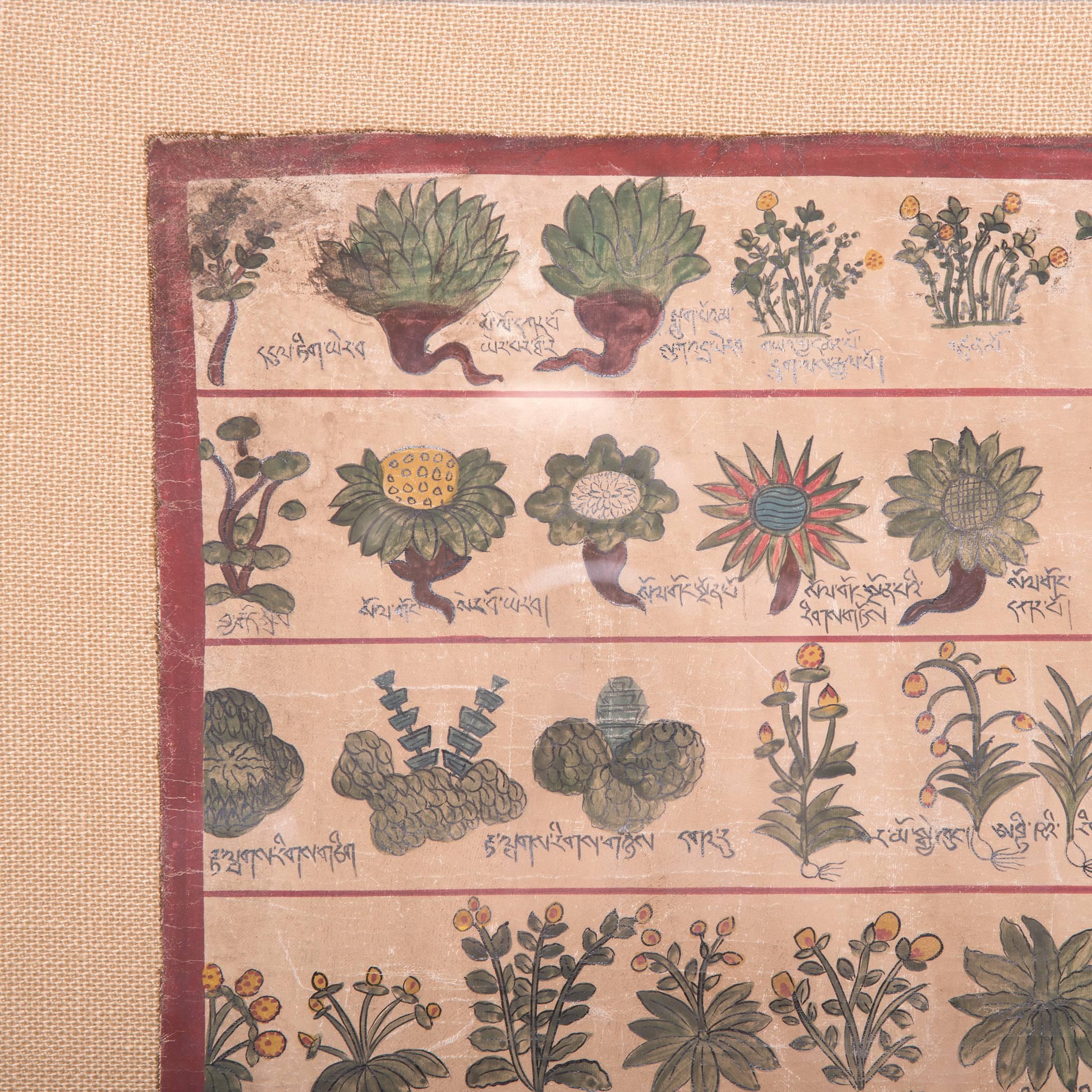 Illustrating numerous plants and roots used for healing, a Tibetan painting like this would have been a reference used for the preparation of herbal medicines and traditional remedies. Rendered with details regarding the size, color and structure of