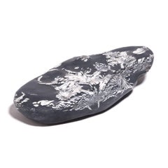 Chinese Chrysanthemum Stone