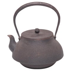 Textured Japanese Tetsubin Teapot with Lotus Bud Knob, c. 1900