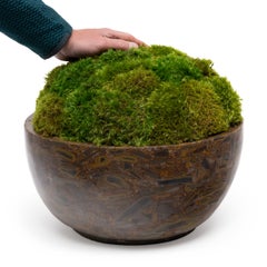 Mossy Puddingstone Basin Centerpiece