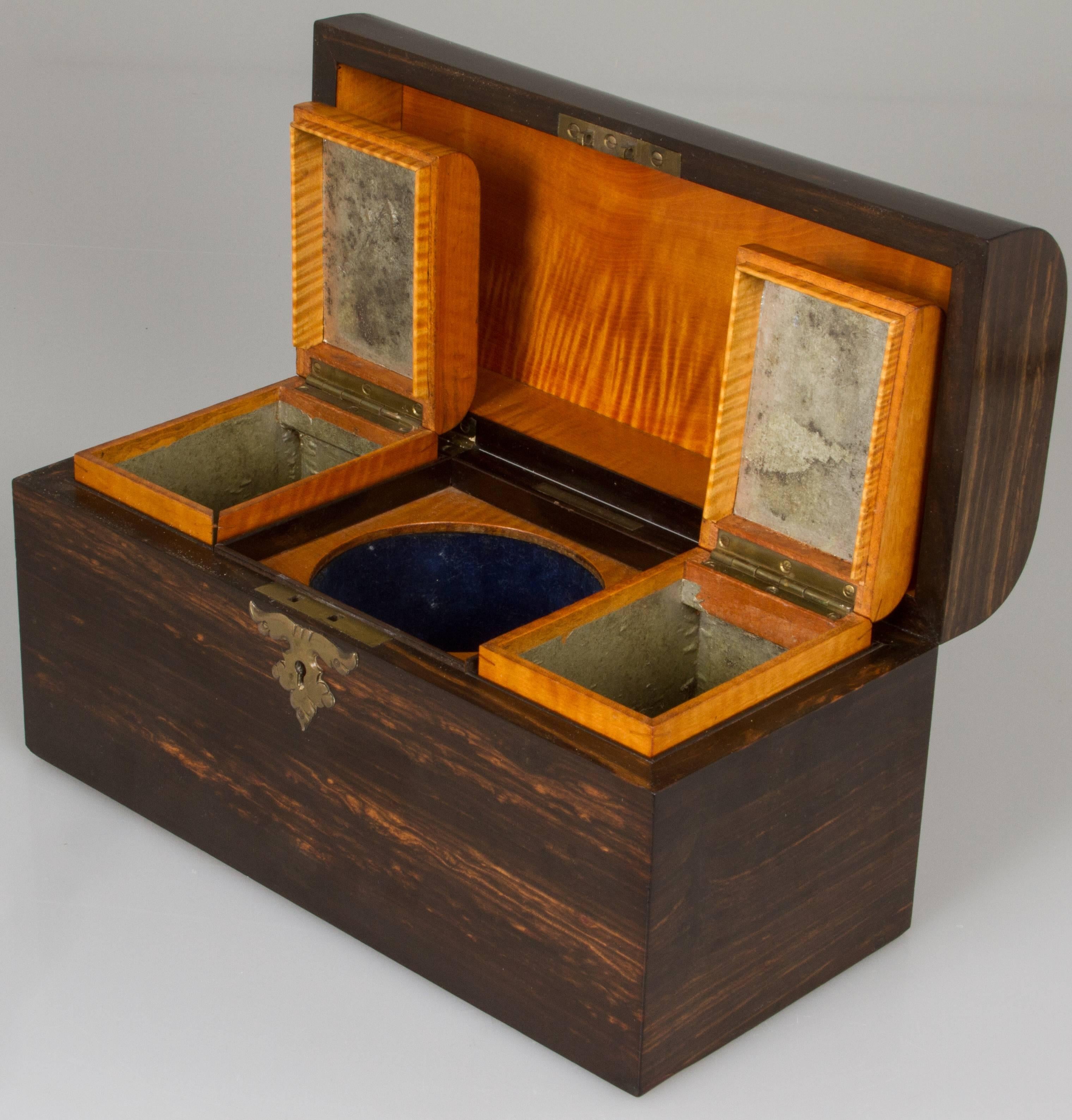 Antique Gaboon Ebony Tea Caddy In Excellent Condition For Sale In Chicago, IL