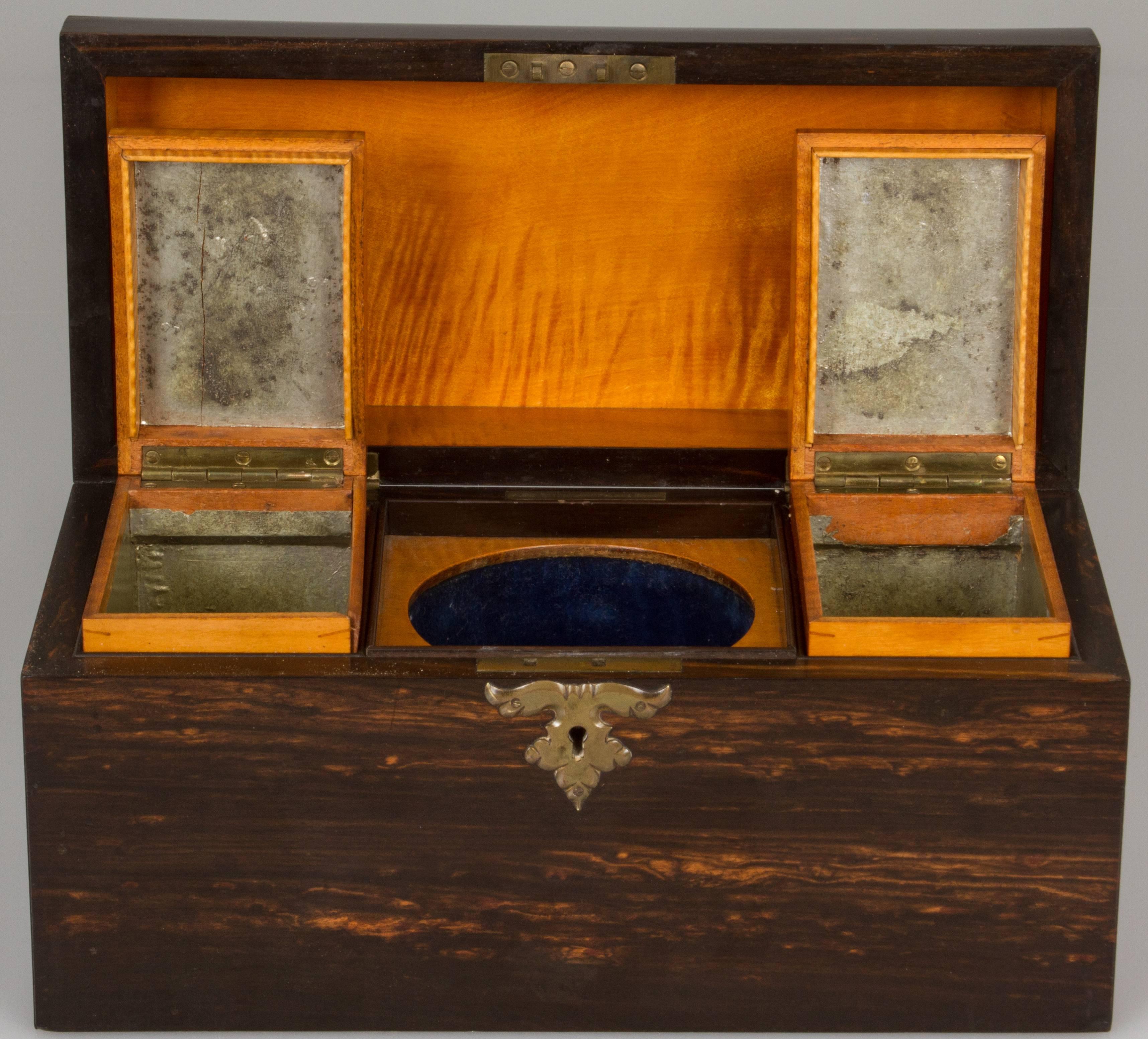 Mid-19th Century Antique Gaboon Ebony Tea Caddy For Sale
