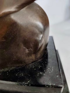 Vietnamese Bronze by DVCAM