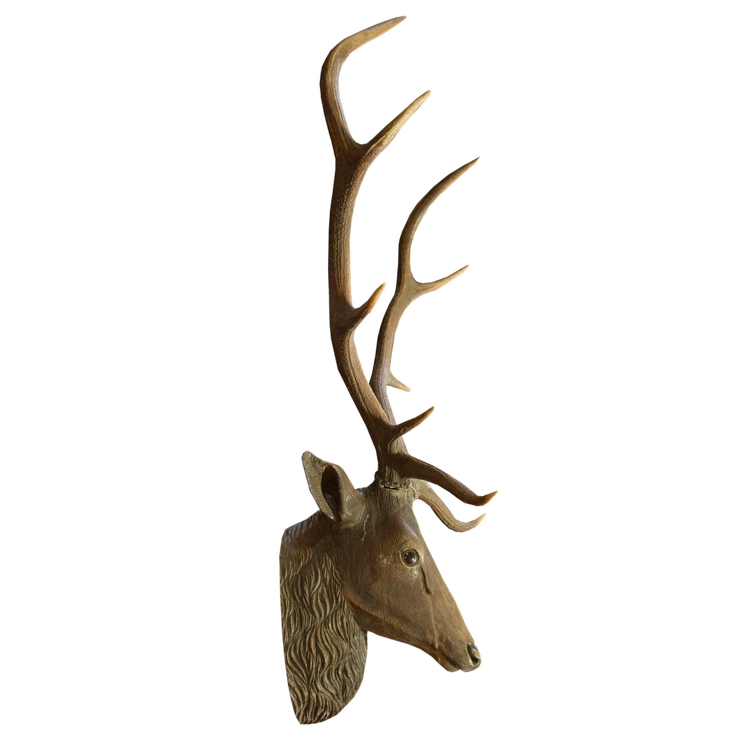 Carved Wood Stag Head