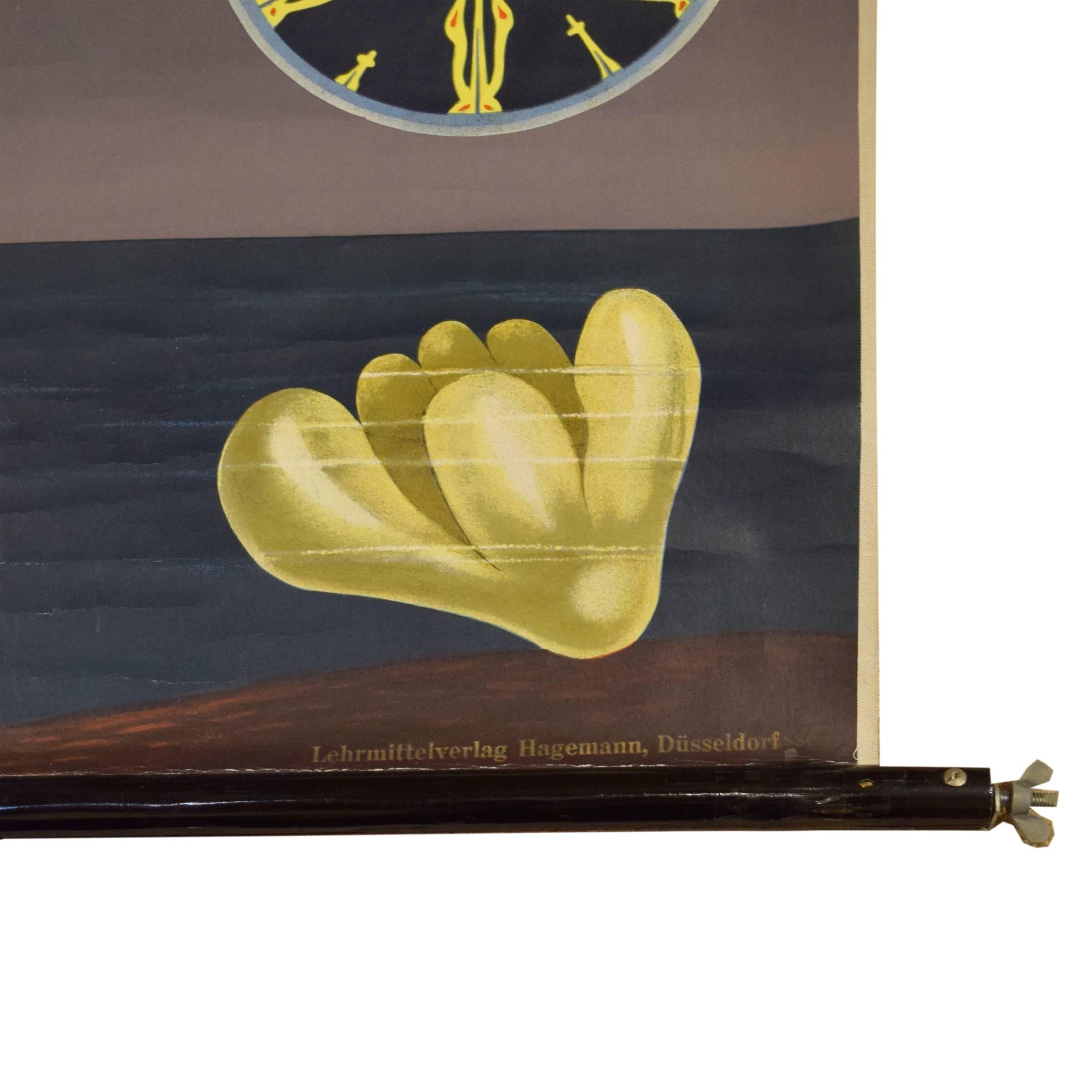 German Educational Poster of Sea Anemone In Excellent Condition In Round Top, TX