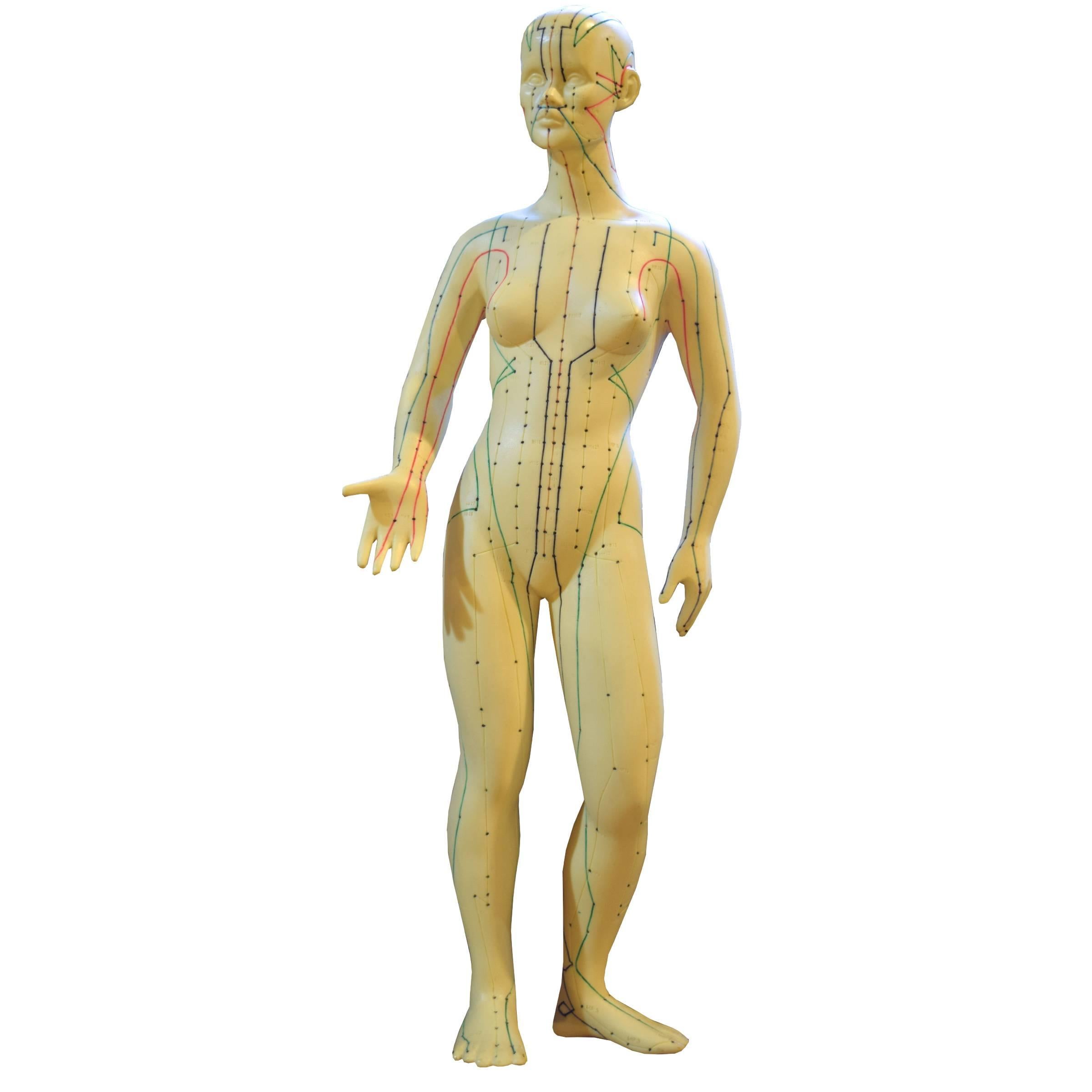 human body pressure points