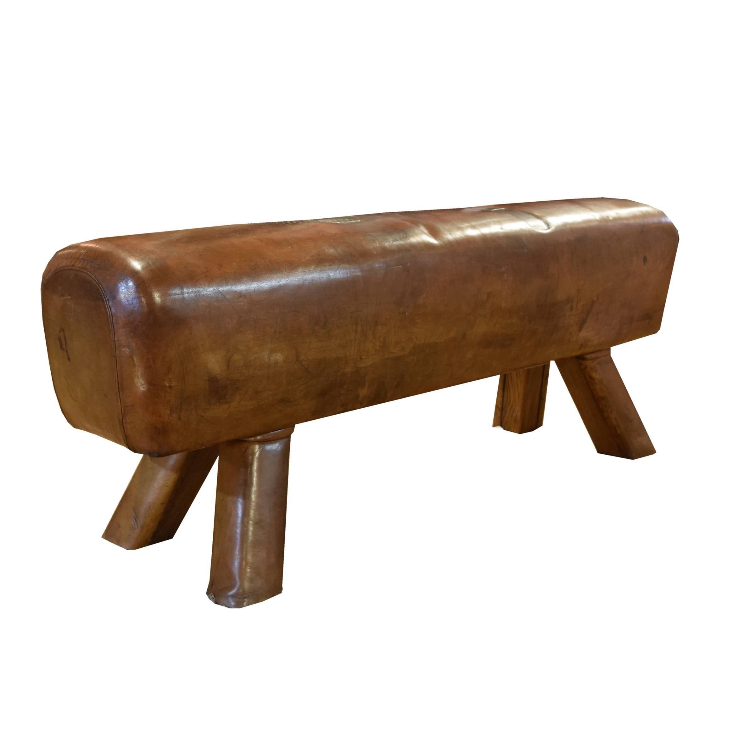 Czech Leather Pommel Horse Bench