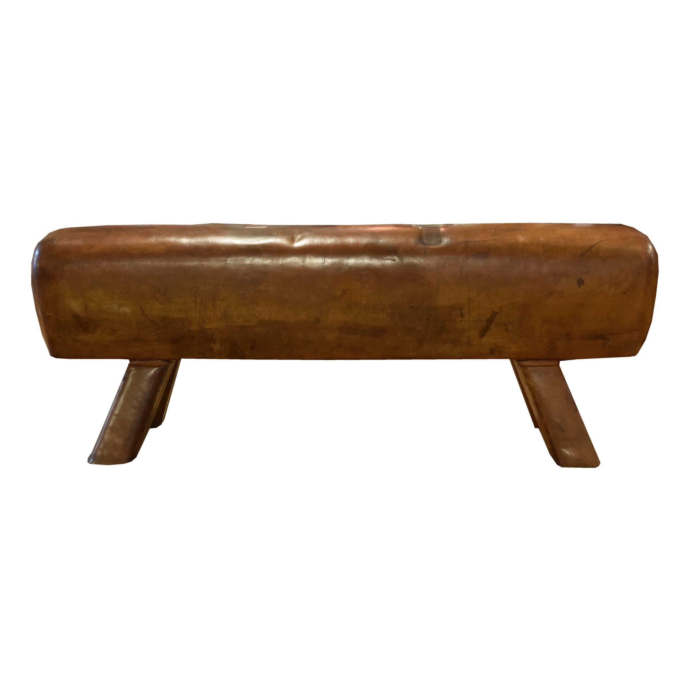 Leather Pommel Horse Bench