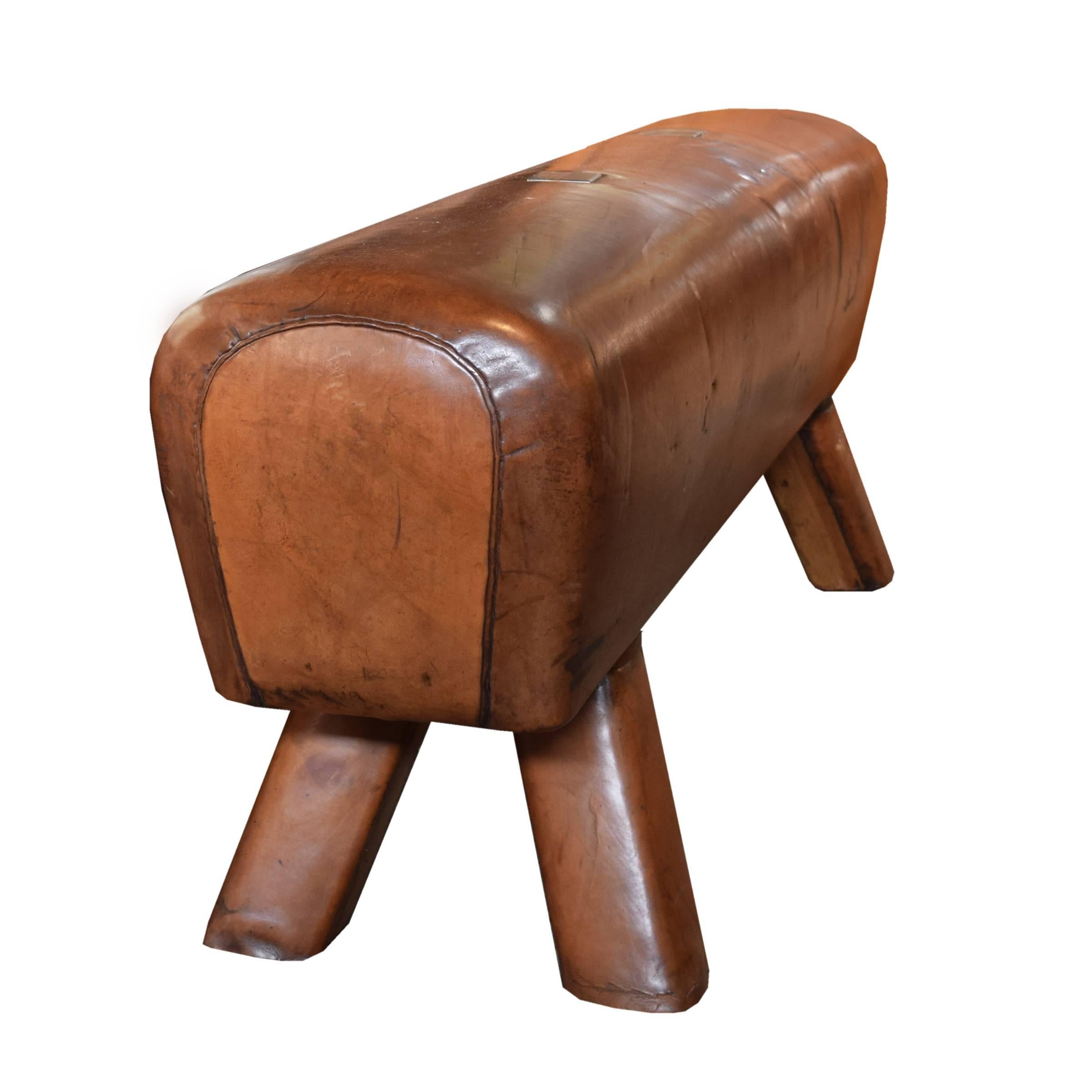 Czech Leather Pommel Horse Bench