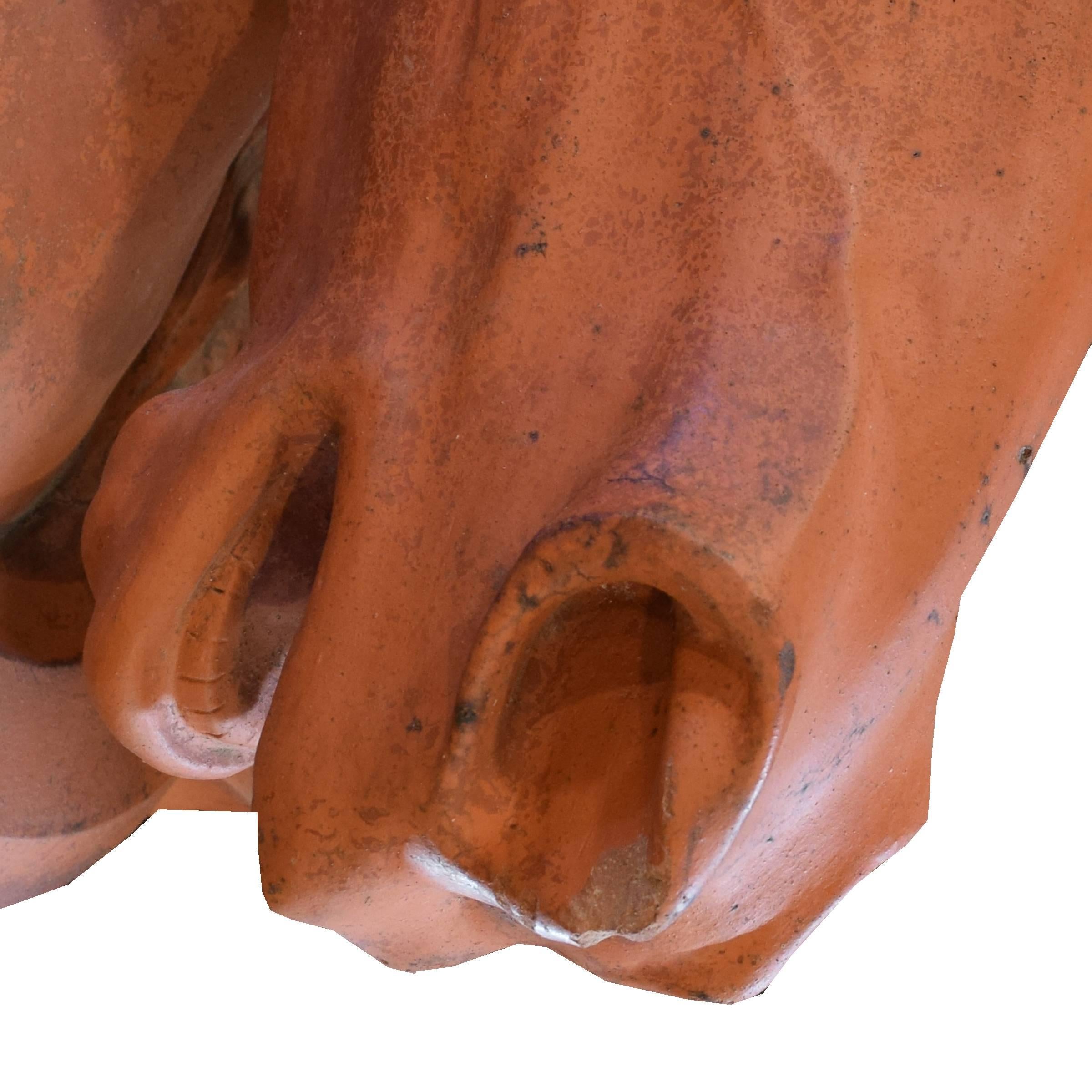 19th Century American Terra Cotta Horse Head