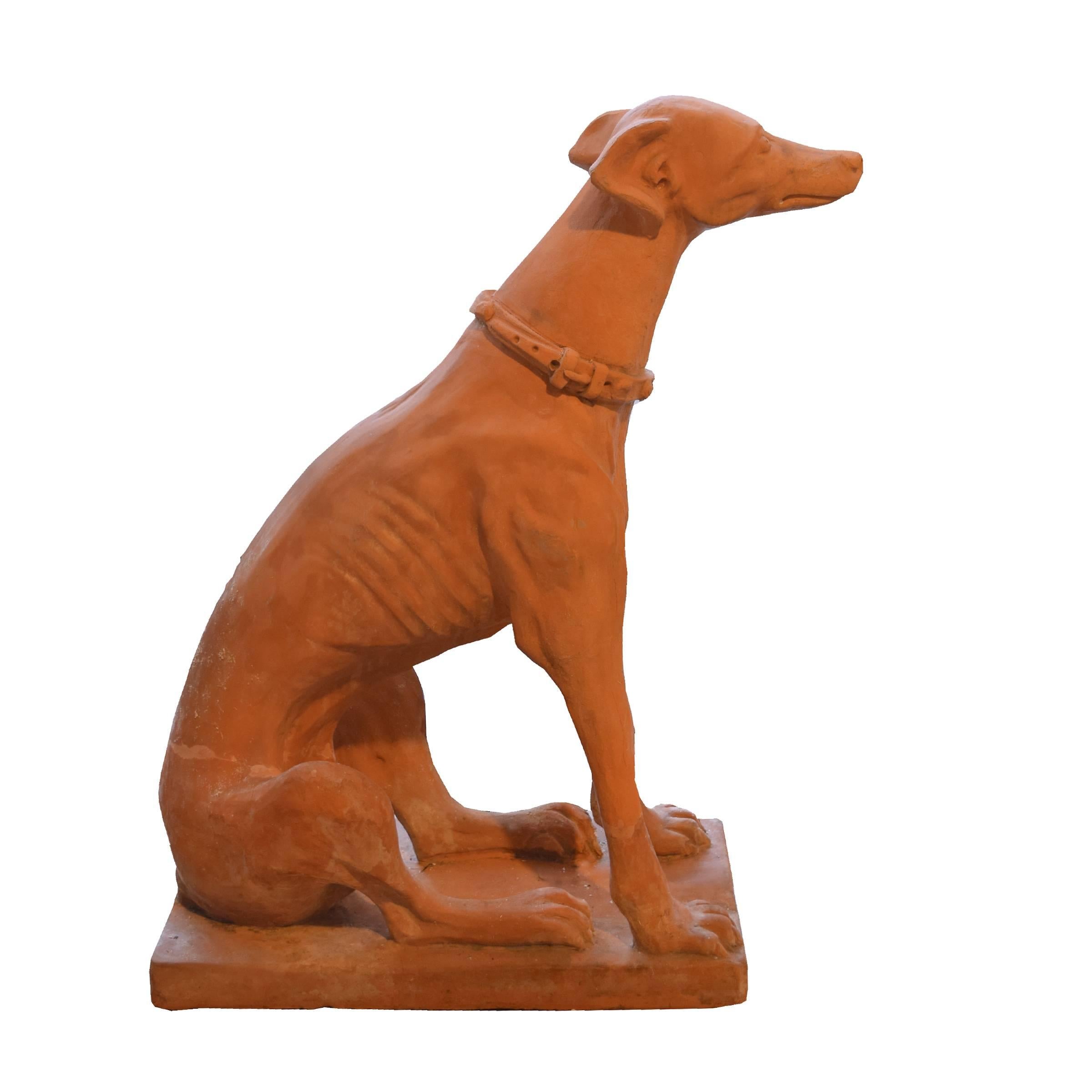 A pair of Italian terra cotta whippets, seated with collars, perfect for the garden, circa mid-20th century.
               