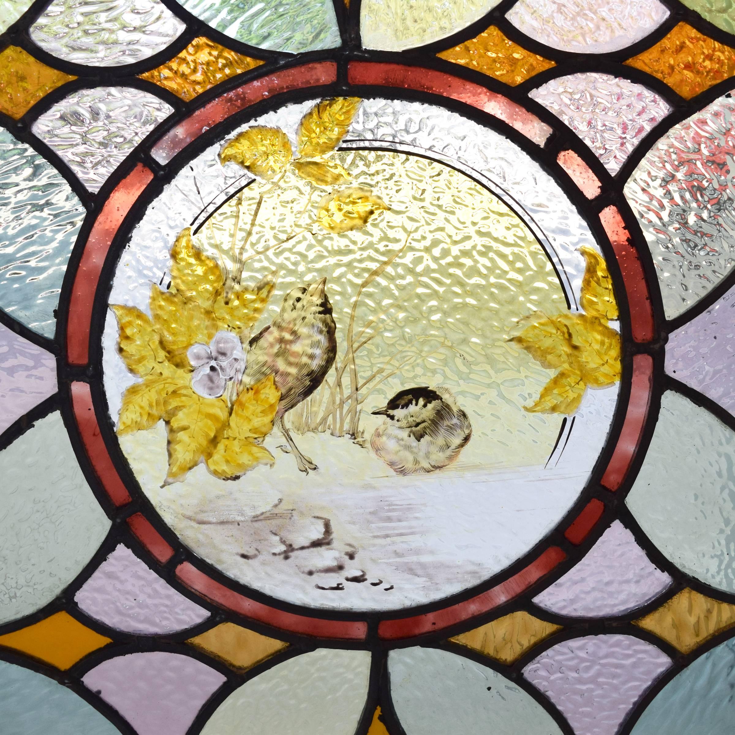 A fantastic colorful English art glass window with a central medallion with two hand-painted birds on a leafy branch.

  