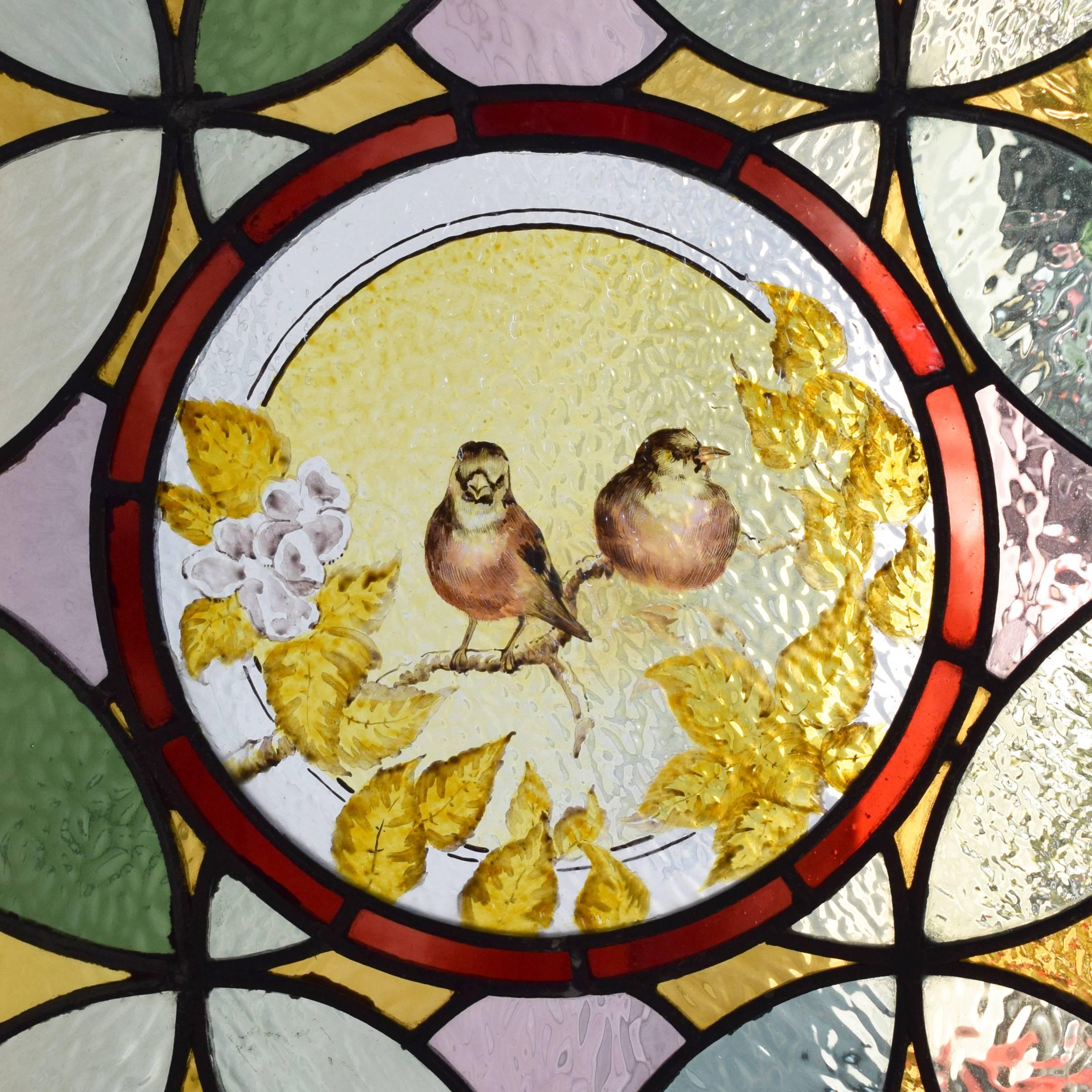 A fantastic colorful English art glass window with a central medallion with two hand-painted robins on a branch, circa 1900.
  