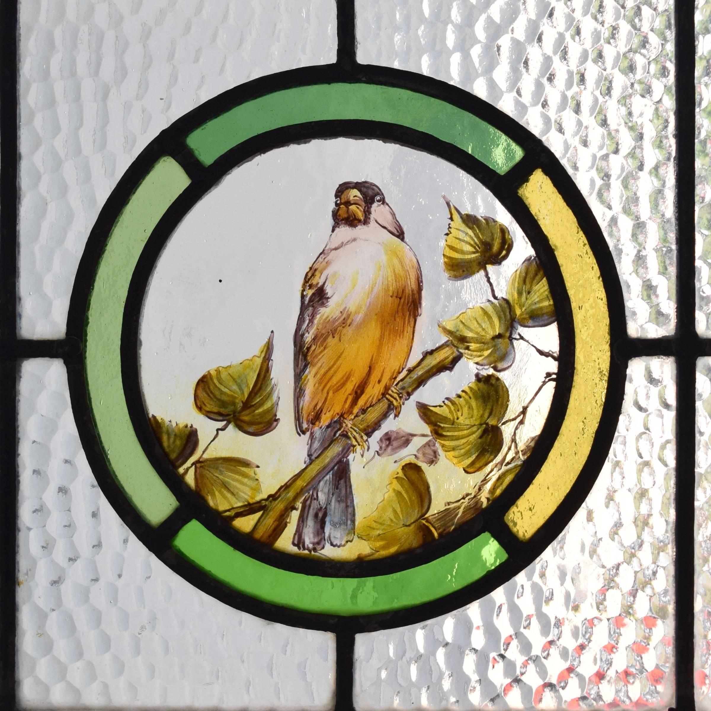 A fantastic English art glass window with red and green borders and a central medallion with a hand-painted robin resting on a branch, circa 1880.