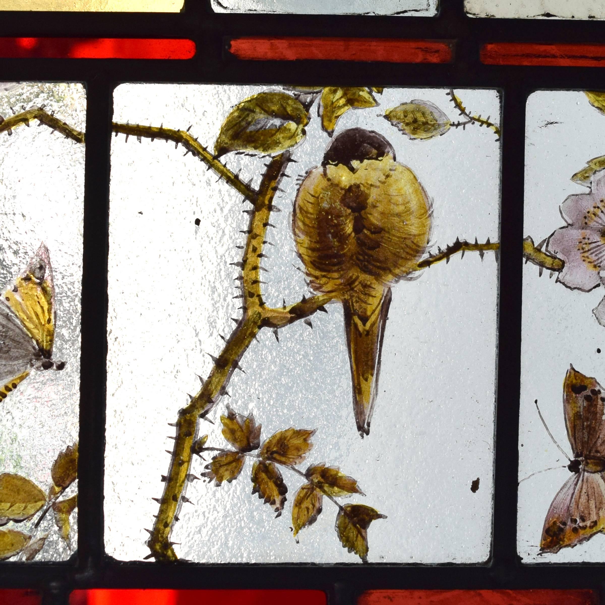 A lovely English art glass window with a hand-painted bird on a branch amongst butterflies within a colorful frame.