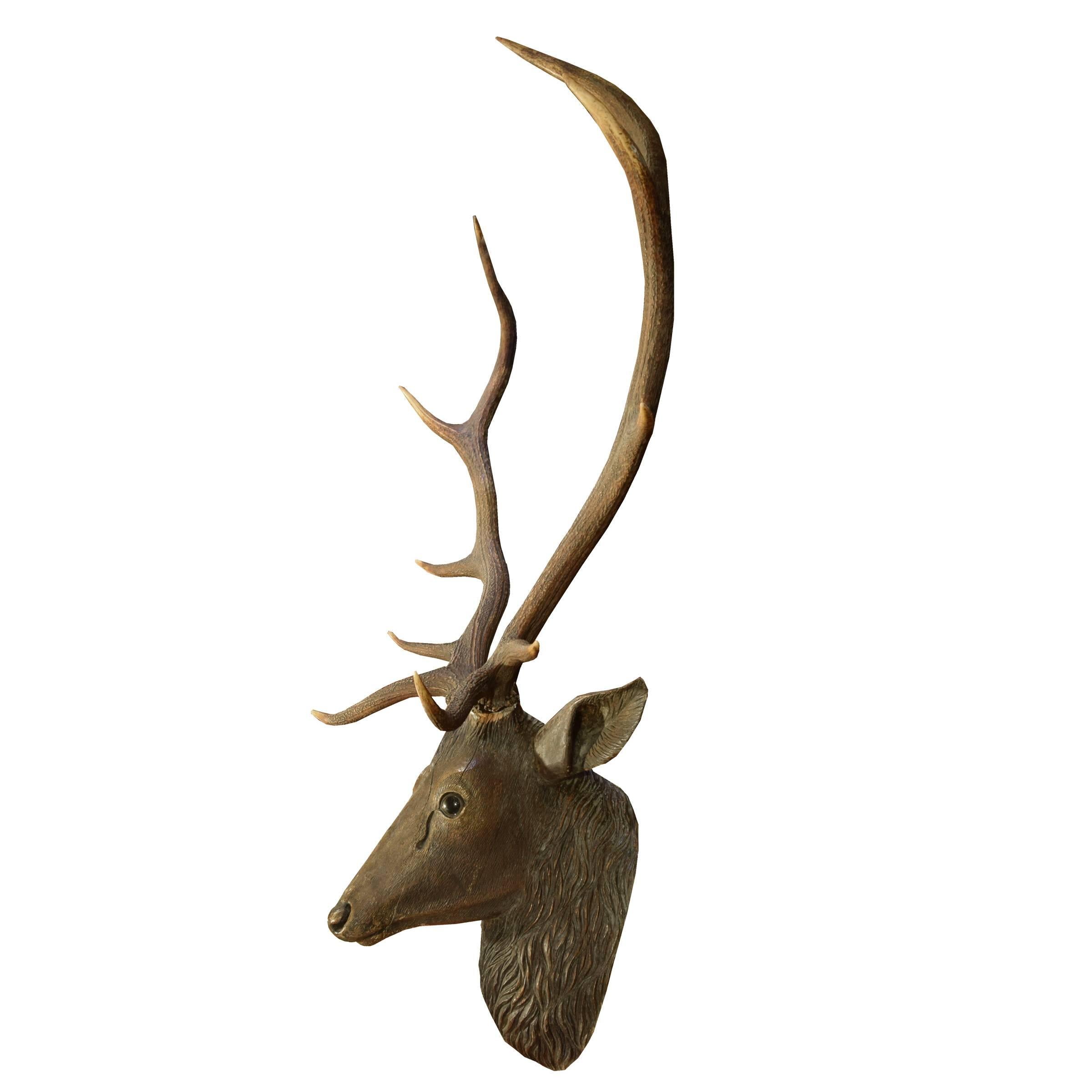 A hand-carved wood stag head with genuine antlers from a Bavarian hunting lodge, late 19th century.