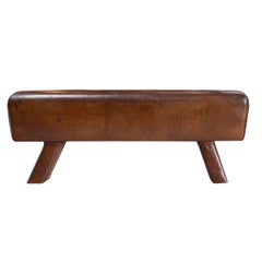 Leather Pommel Horse Bench