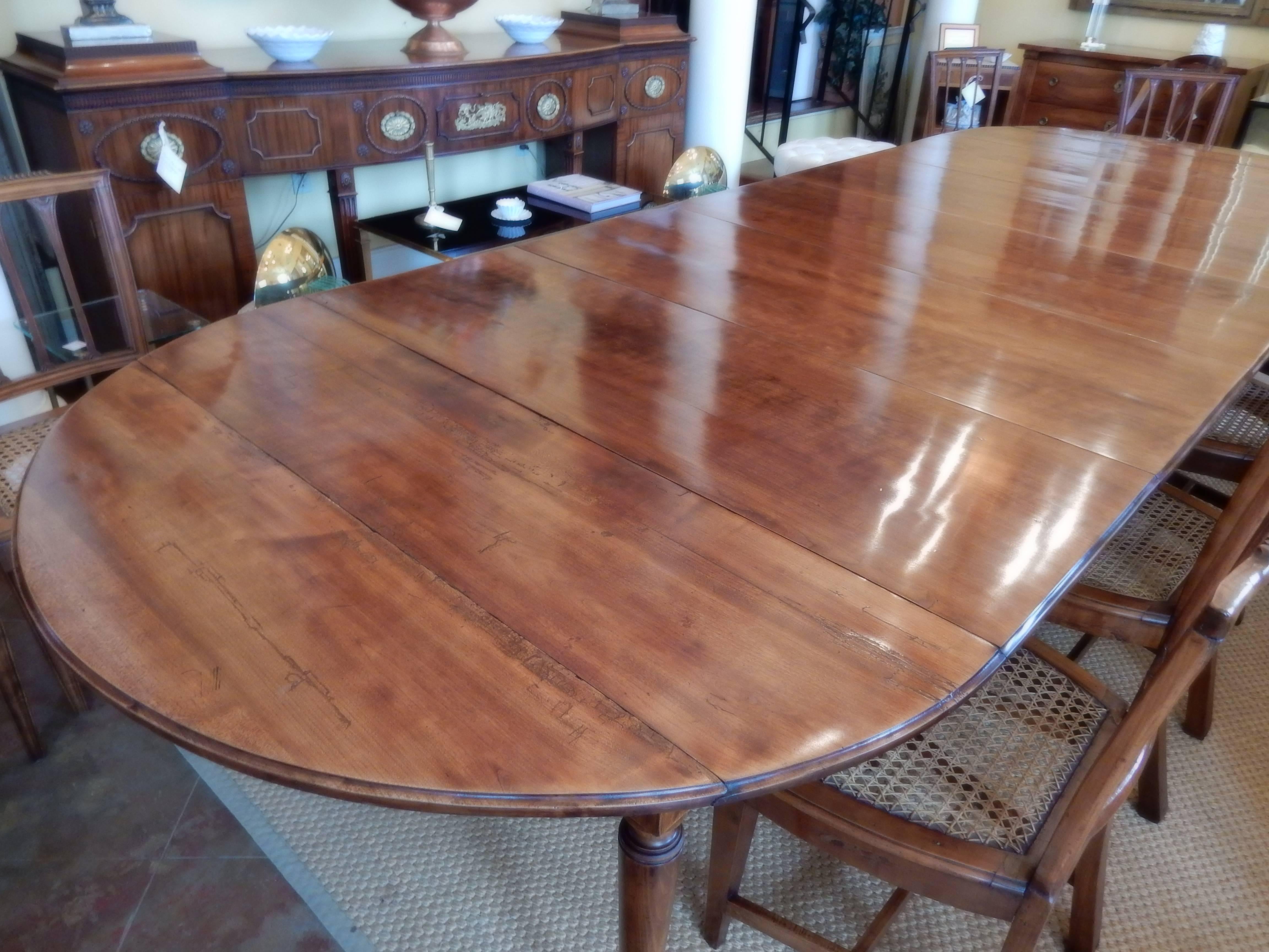 19th Century Directoire Style Extension Dining Table 2