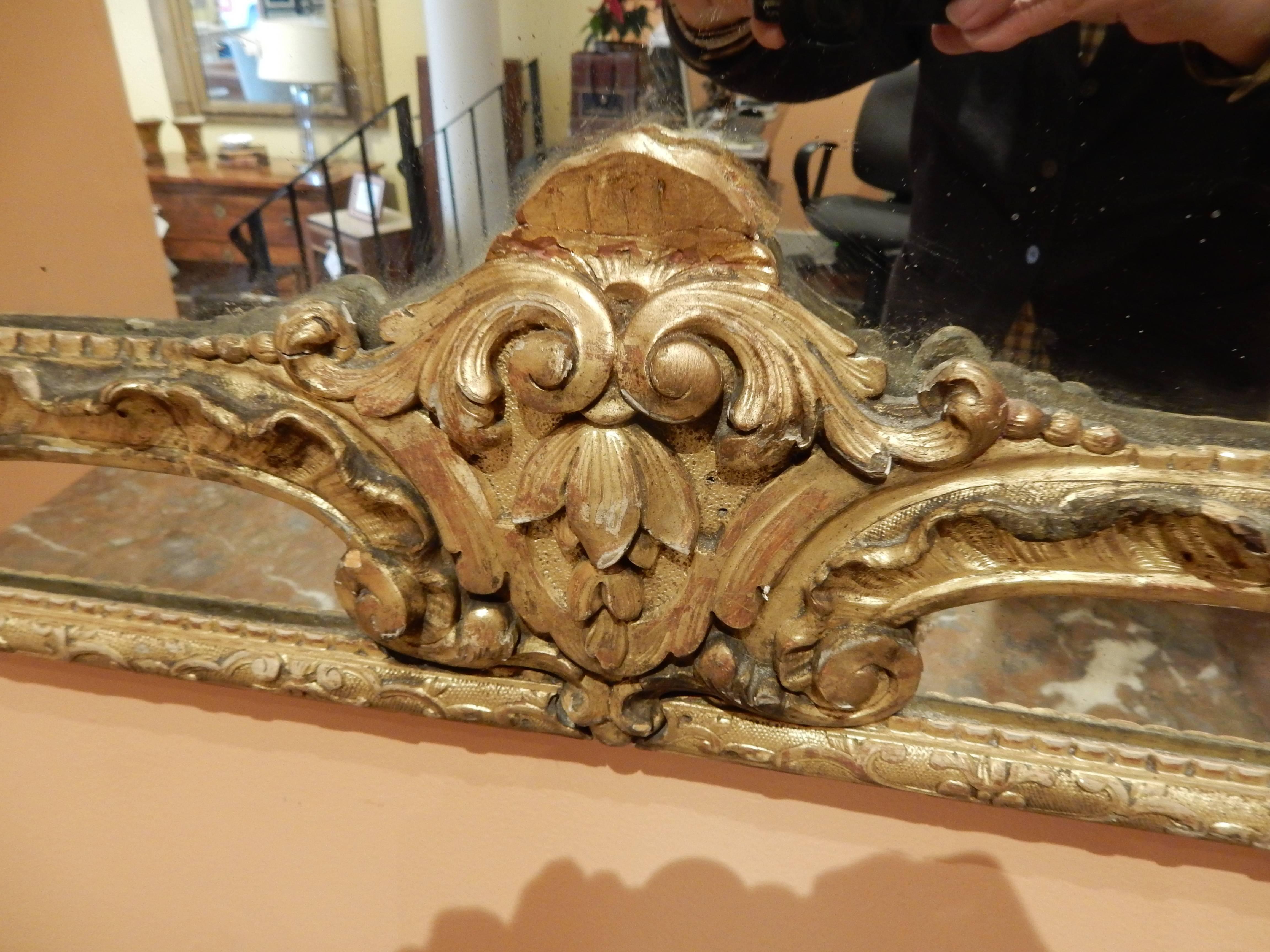 Carved Louis XVI Gold Gilt Mirror For Sale