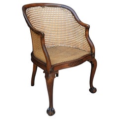 English 19th Century Antique Mahogany Cane Bergere Tub Chair On Claw & Ball Feet