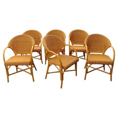 Dining Room Chairs