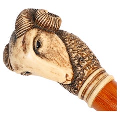 Antique Ram-Handled Walking Cane with White Collar and Ferrule, 92 cm 1800's