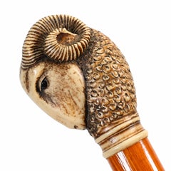 Antique Ram-Handled Walking Cane with White Collar and Ferrule, 92 cm 1800's