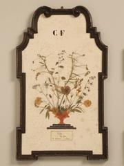 Pressed Botanical from France