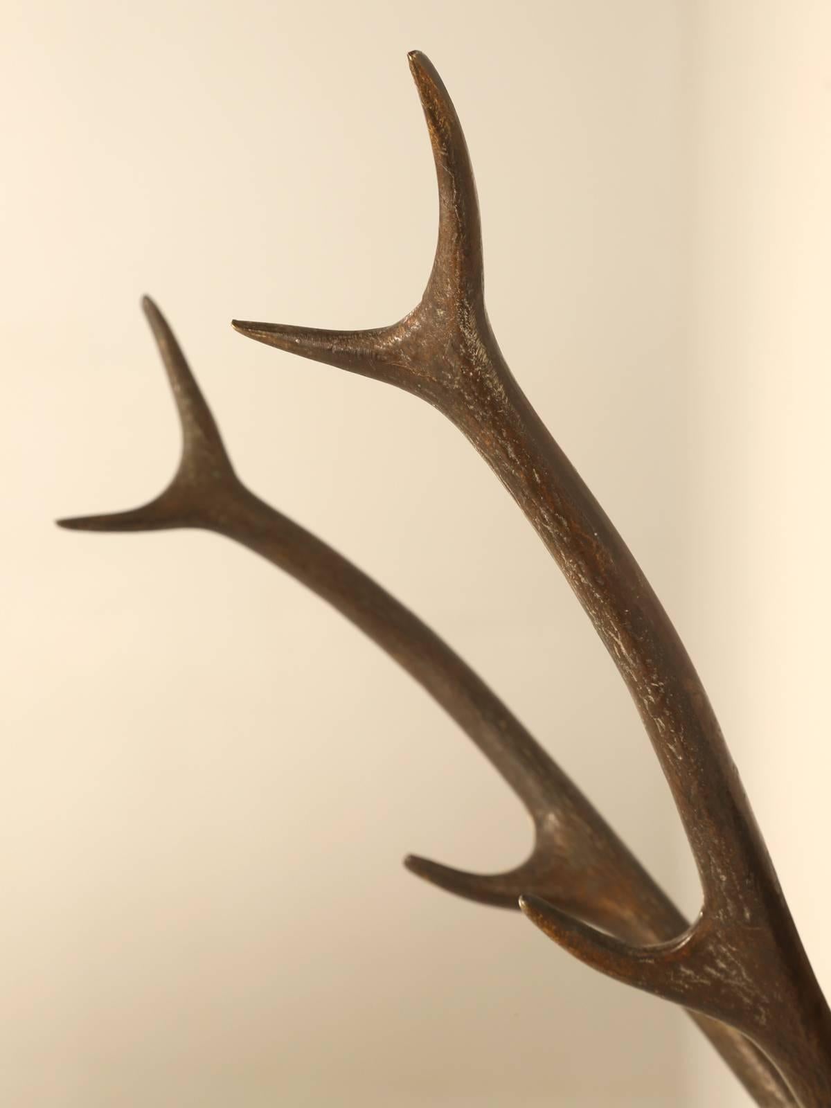 French Polished Brass Stag Skull In Good Condition In Chicago, IL