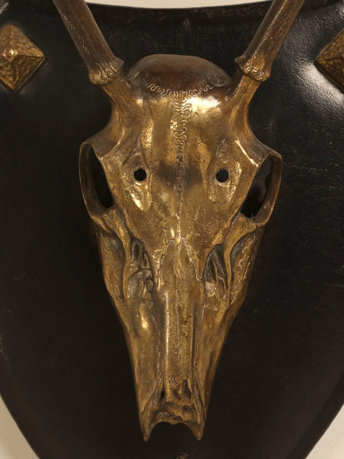French Polished Brass Stag Skull 3