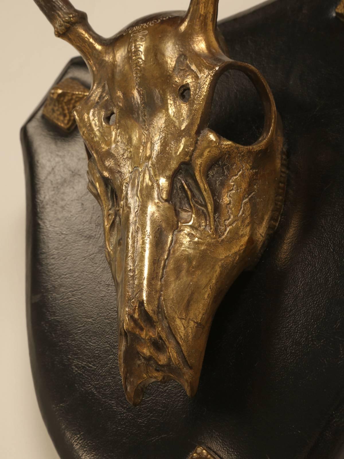French Polished Brass Stag Skull 4
