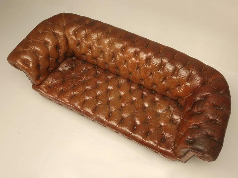 Antique Leather Chesterfield Sofa In Original For At British Antique Leather Chesterfield Sofa In Original For