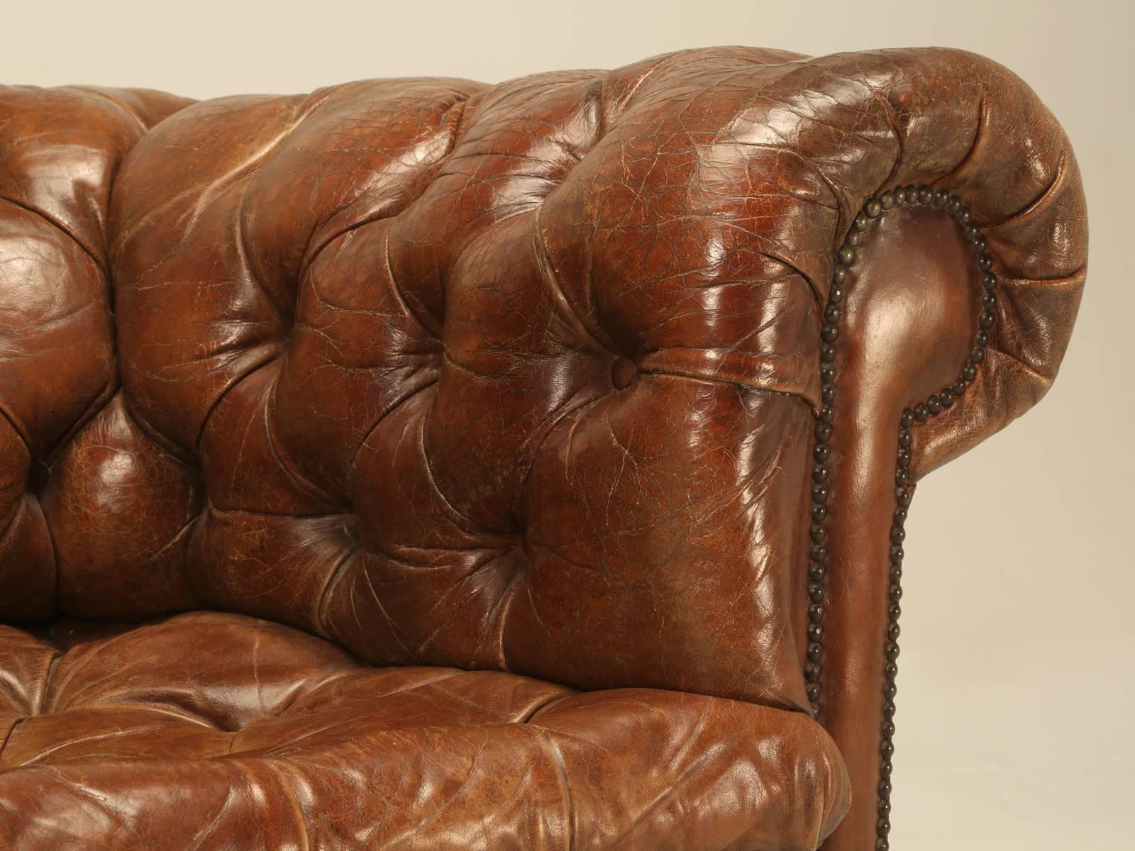 British Antique Chesterfield Chair in Original Leather and Horsehair Stuffing circa 1900