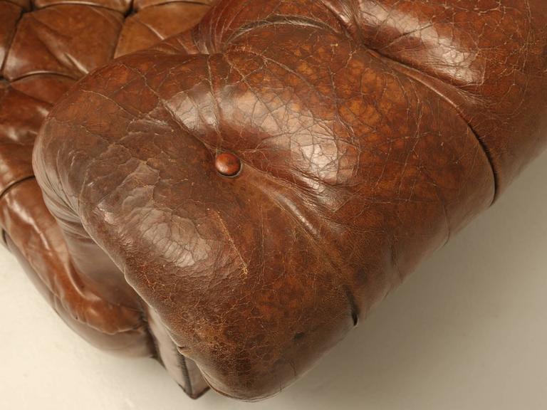 Antique Chesterfield Chair in Original Leather and Horsehair Stuffing