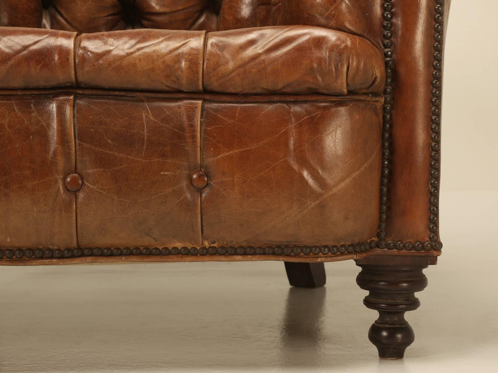 Hand-Crafted Antique Chesterfield Chair in Original Leather and Horsehair Stuffing circa 1900