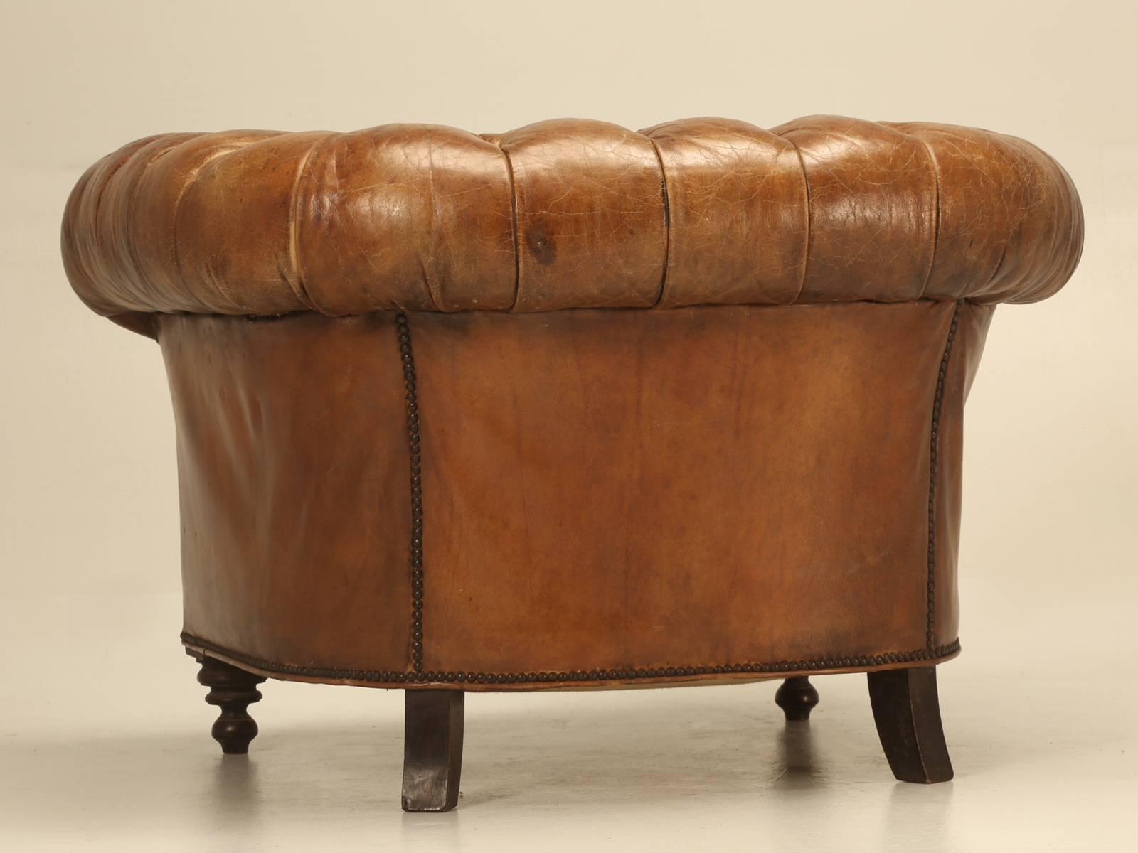 Late 19th Century Antique Chesterfield Chair in Original Leather and Horsehair Stuffing circa 1900