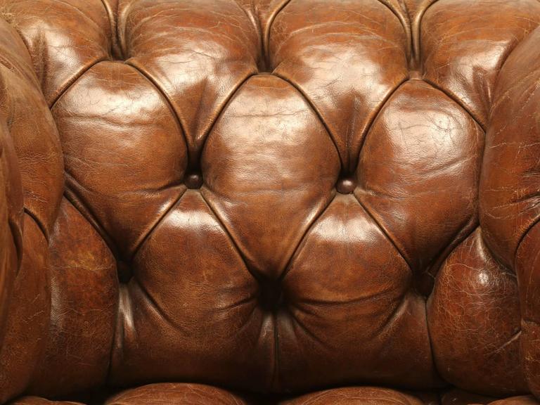 Antique Chesterfield Chair in Original Leather and Horsehair Stuffing