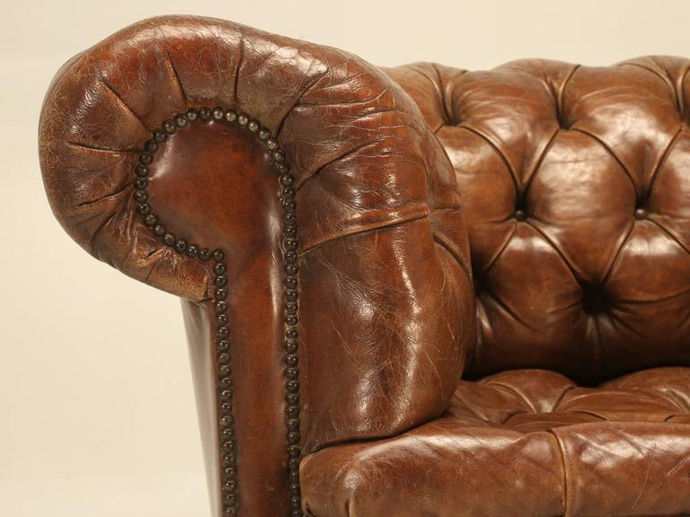 Antique Chesterfield Chair in Original Leather and Horsehair Stuffing