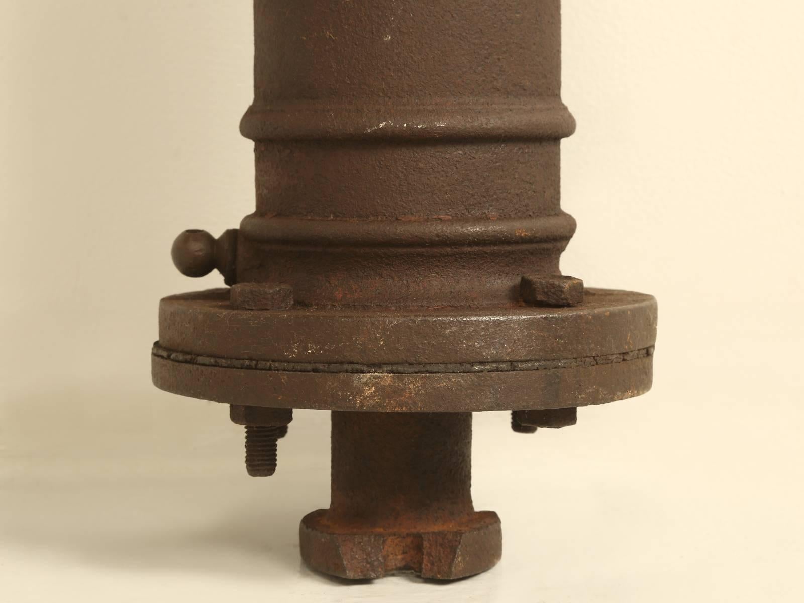 Antique French Garden Water Pump 3