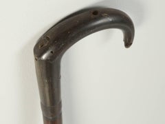 Antique French Horn Handle Walking Stick, or Cane That Was Once a Gun