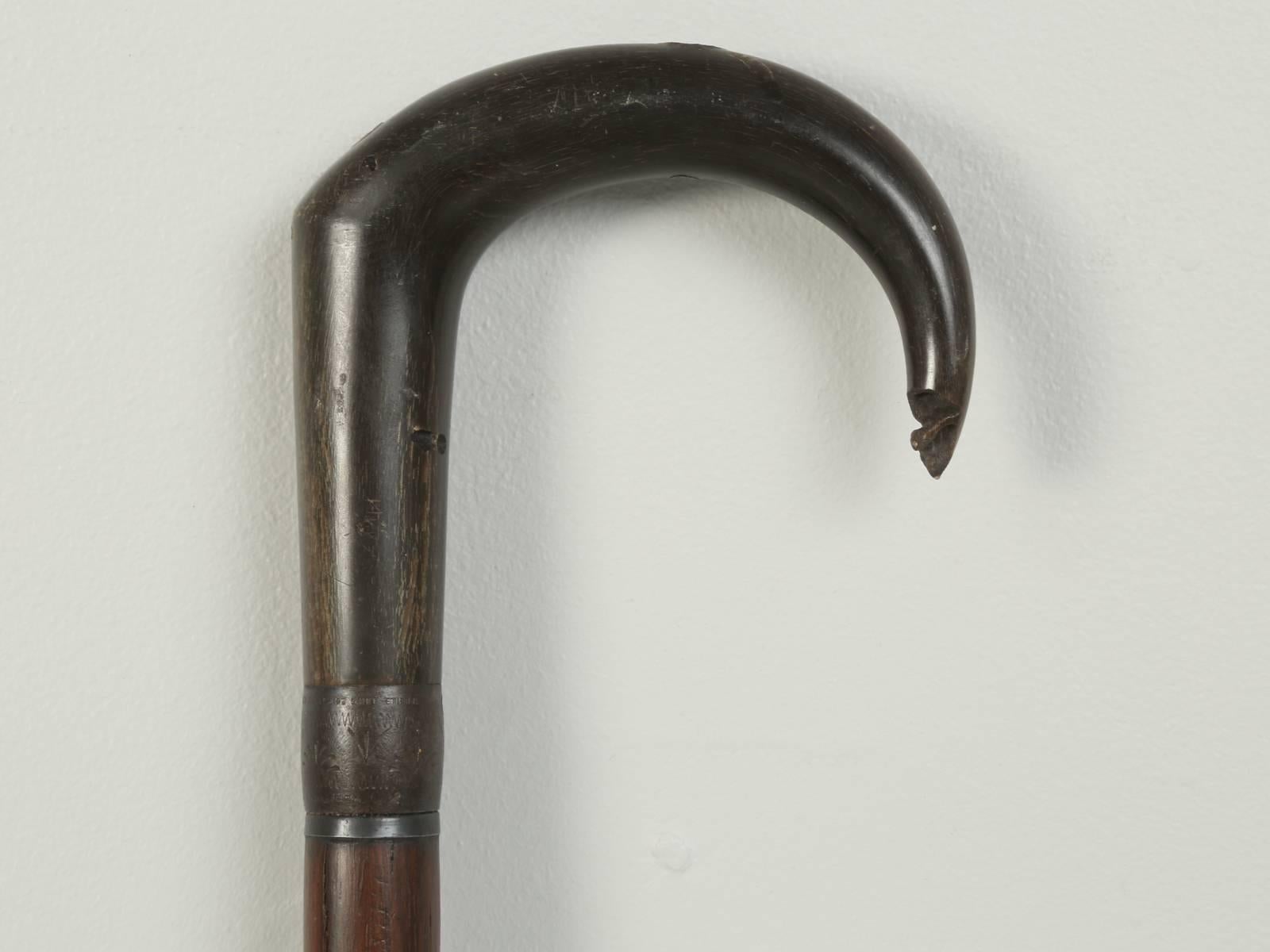 English Antique French Horn Handle Walking Stick, or Cane That Was Once a Gun