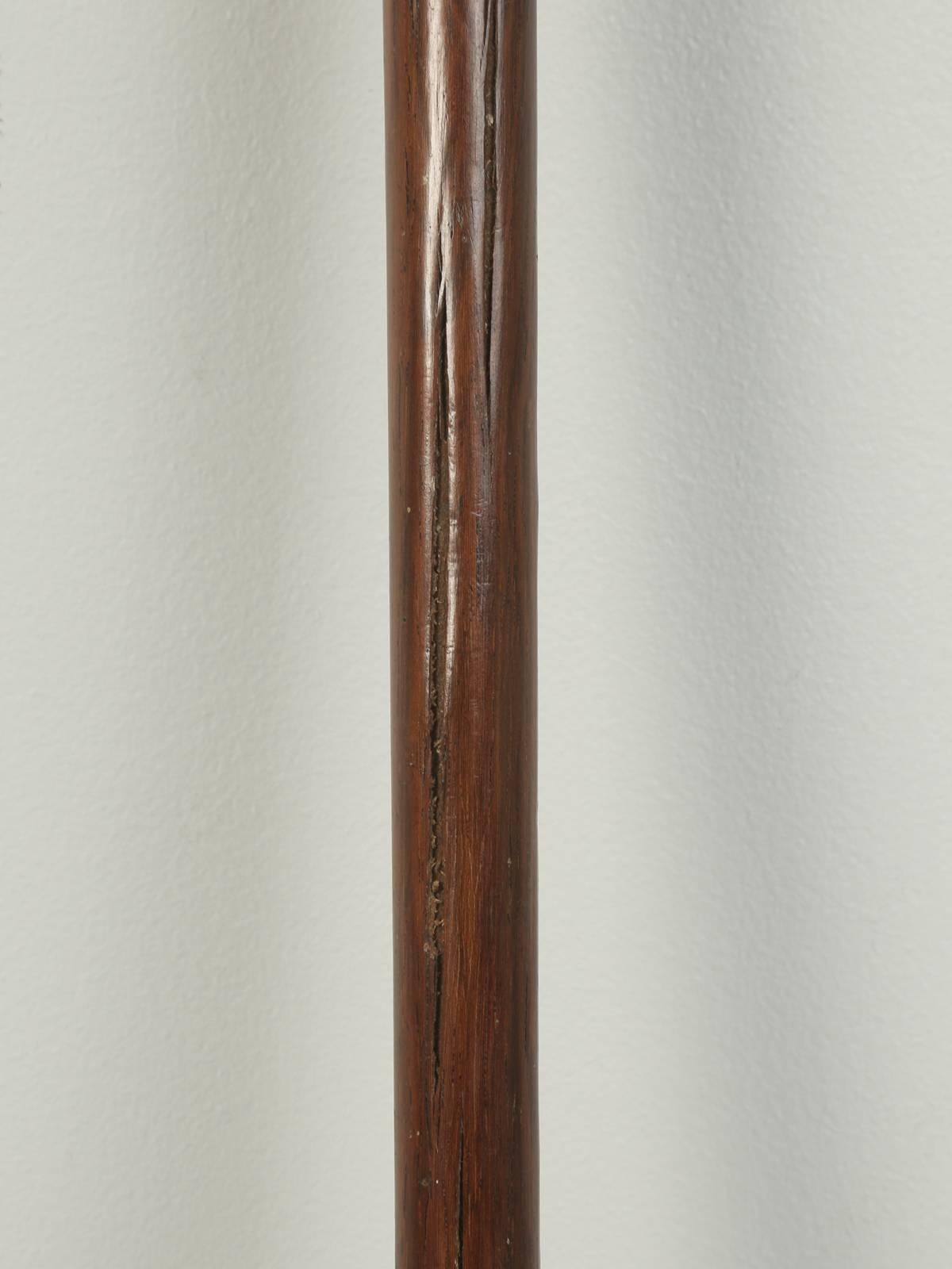 Antique French Horn Handle Walking Stick, or Cane That Was Once a Gun 2