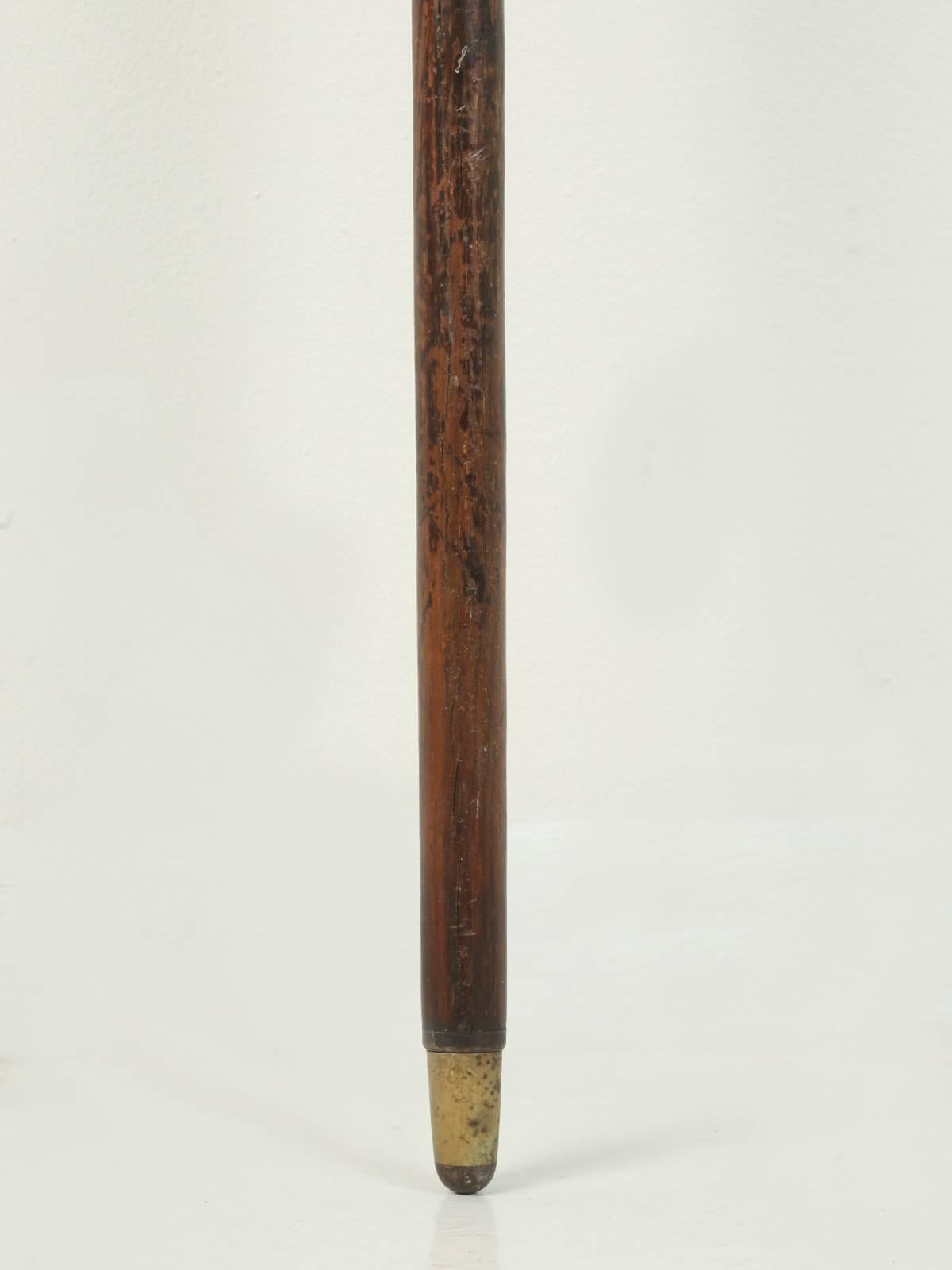 Antique French Horn Handle Walking Stick, or Cane That Was Once a Gun 3