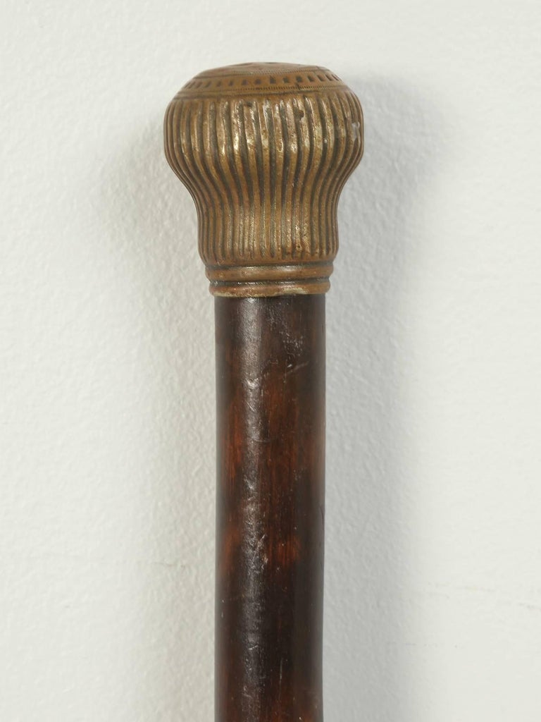 Antique French Walking Stick or Cane For Sale at 1stdibs