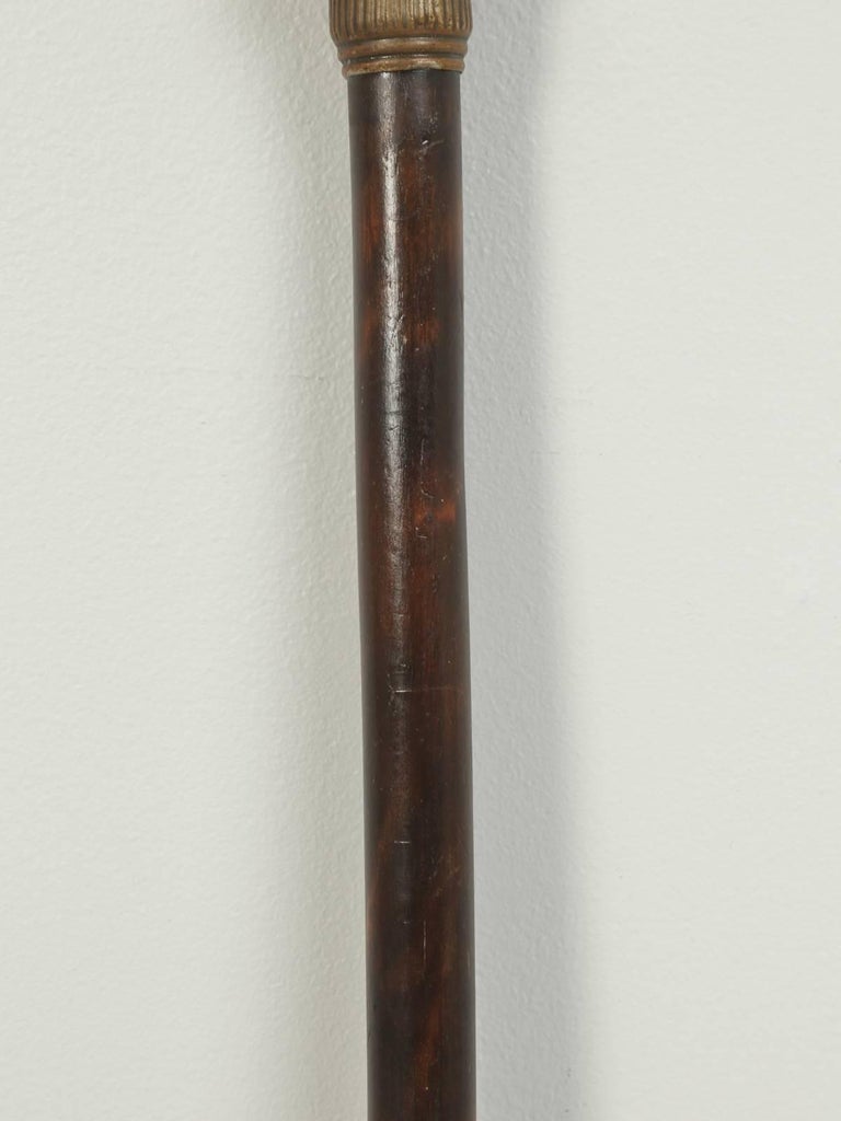 Antique French Walking Stick or Cane For Sale at 1stdibs