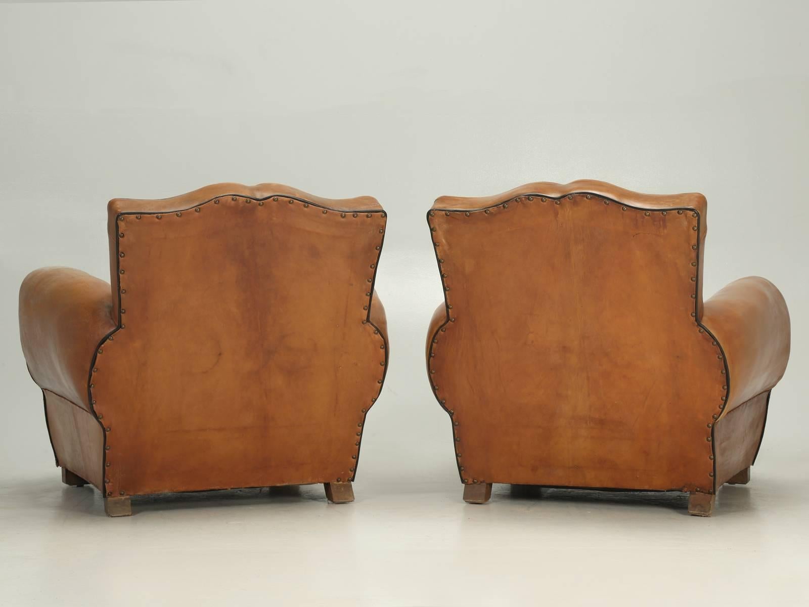 French Club Chairs in Their Original Leather, Fully Restored 5