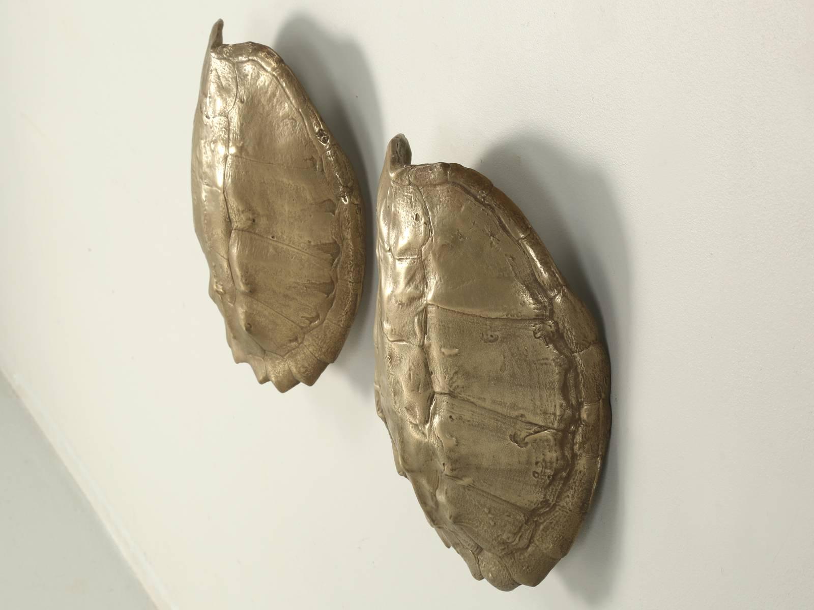 Pair of Vintage Bronzed Turtle Shell Sconces, originally purchased in the 1970s and we quickly realized, that you could not merely polish the Turtle Shells to reveal, what one would typically expect a Turtle Shell to look like. They were ugly and
