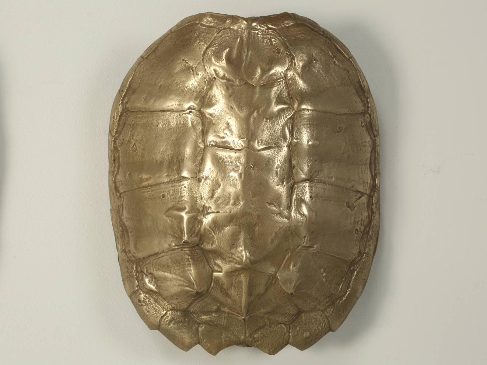 Mid-20th Century Pair of Bronzed Faux Turtle Shell Sconces from the 1970s