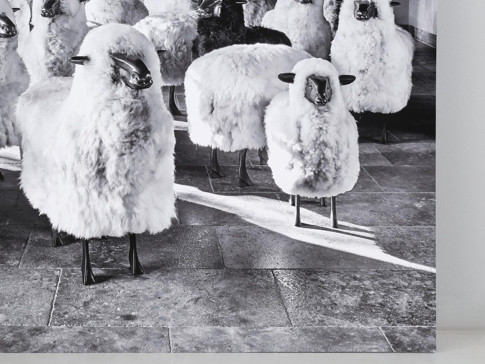 Tony Soluri Original Digital Sheep Print en tailles optionnelles en vente 7